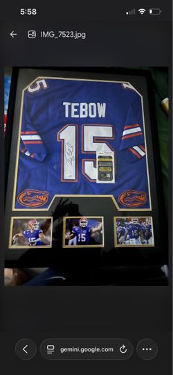 Tim Tebow - Custom Framed Autographed Jordan Brand Florida Gators Jersey