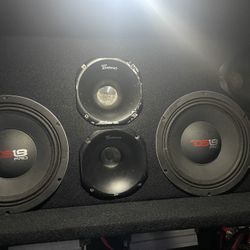 DS18 Pro Mid Range Speakers 10” 