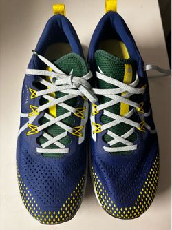 Nike shoes size 10