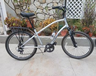 Silver and black men's Townie bike