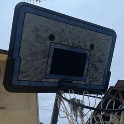 Lifetime Basketball Hoop
