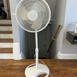 Floor Fan 