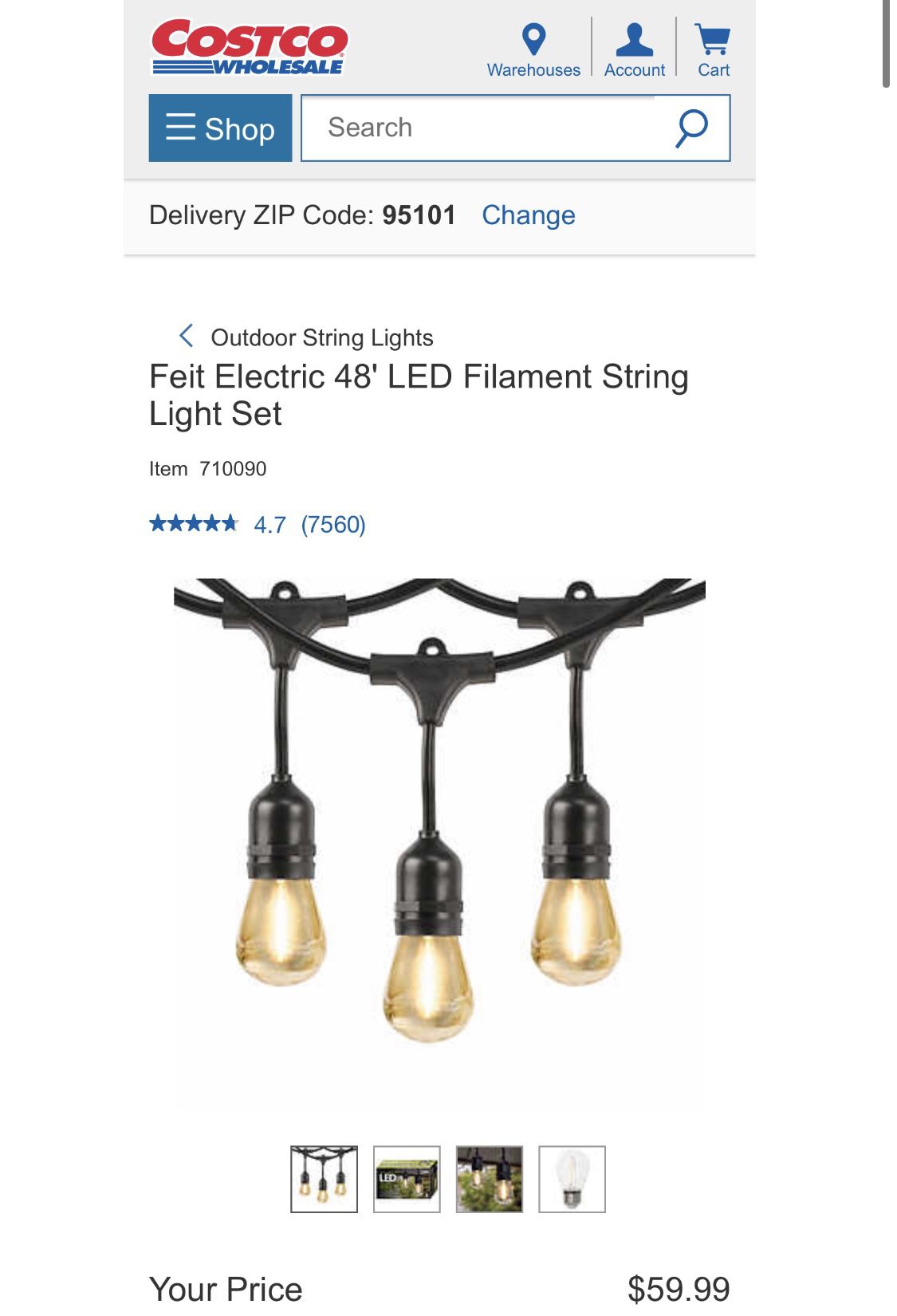 Feit Electric 48' LED Filament String Light Set 