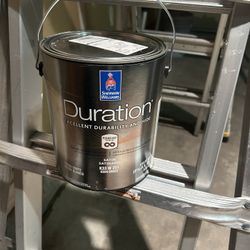 White Exterior Paint