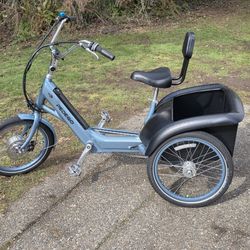 Pedego Electric Trike or Tricycle 