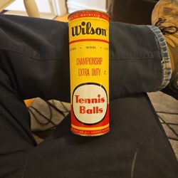 Wilson Championship Tennis Balls