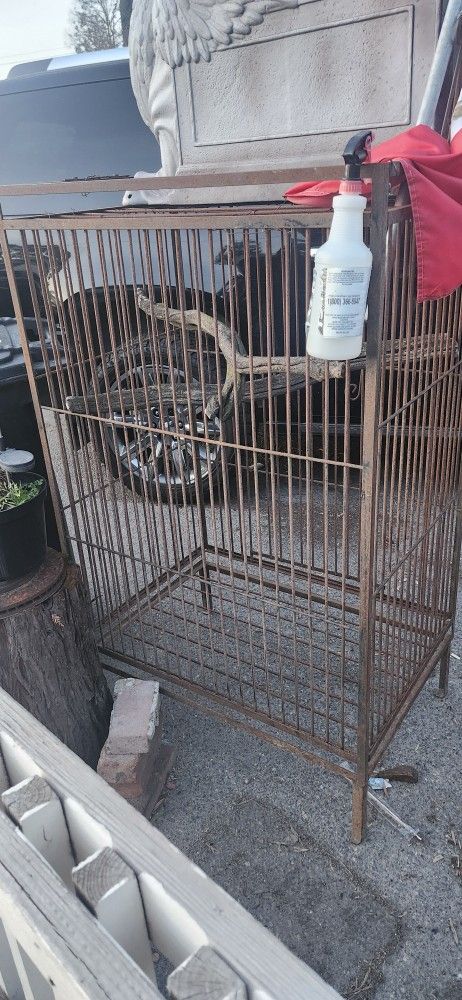 Bird Cage