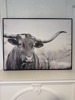 Framed Longhorn Bull Black and White Canvas Print