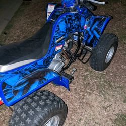 06 Raptor 50