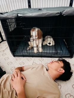 36" Wire Dog Crate + Explore Land Cover – Like New⁠