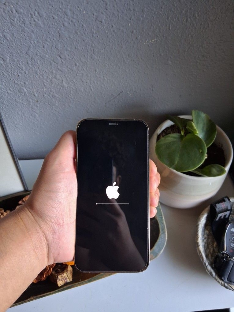 Iphone 12 Pro