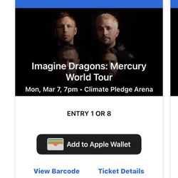 Imagine Dragons 1 Ticket 