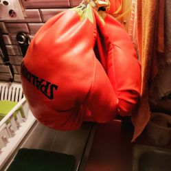 Spalding Boxing 🥊 Gloves