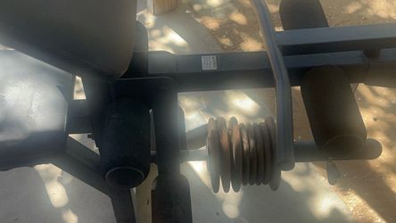 Exercise bench