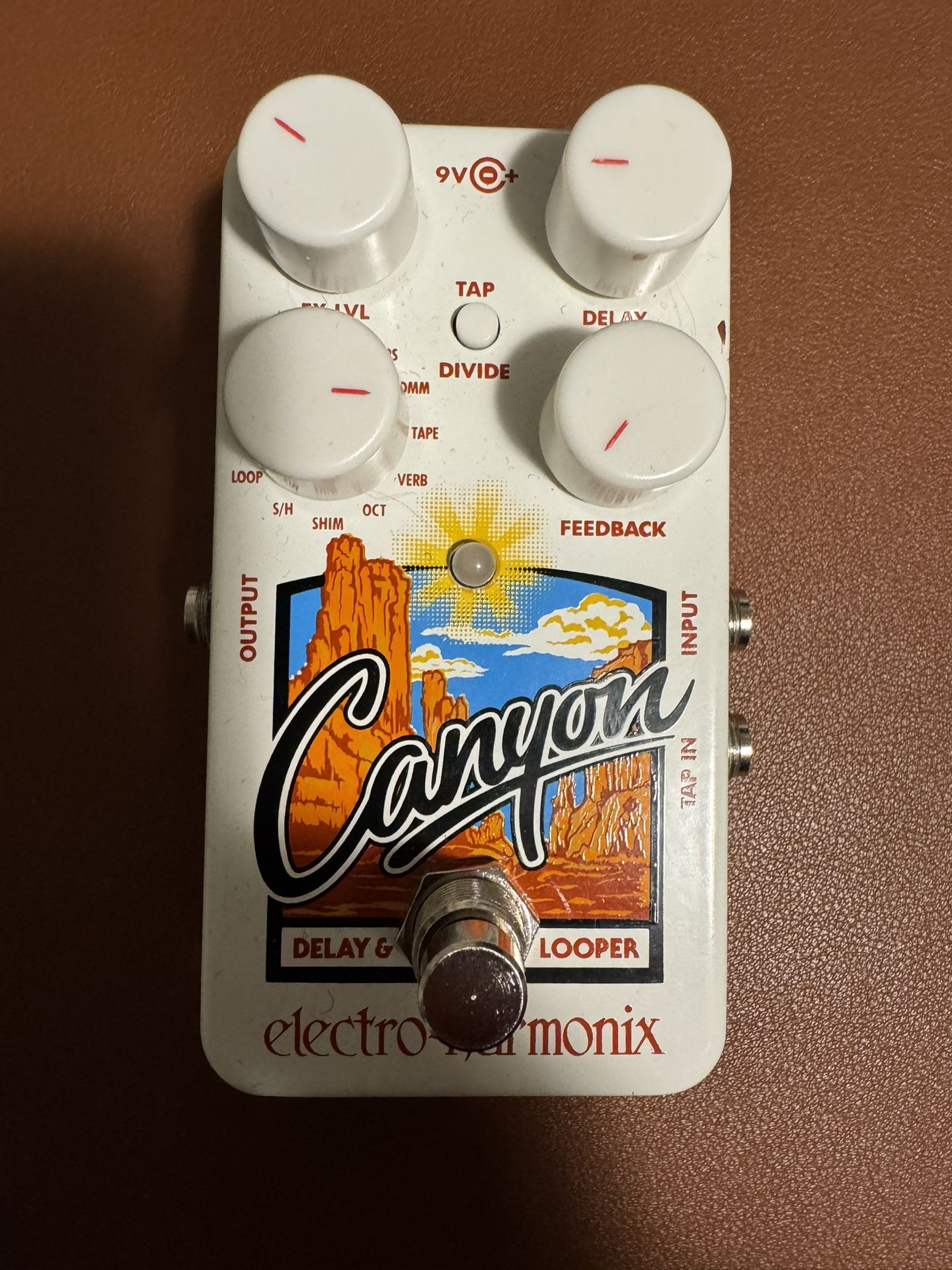 canyon delay and looper