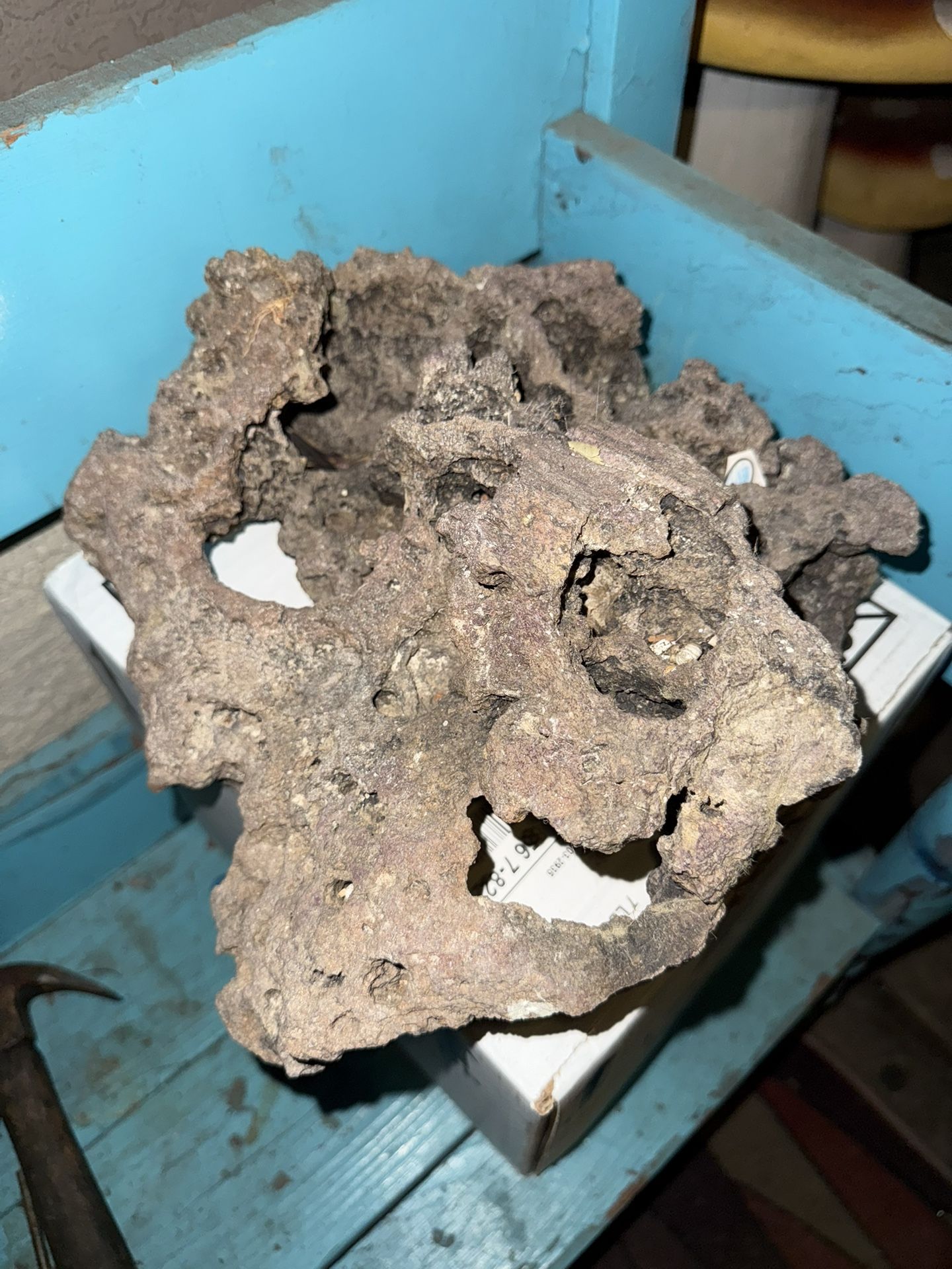 Lava Rock Aquarium Tank