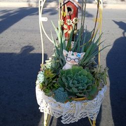Large Plant Arrangement 
