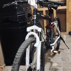 Genesis V2100 Mountain Bike