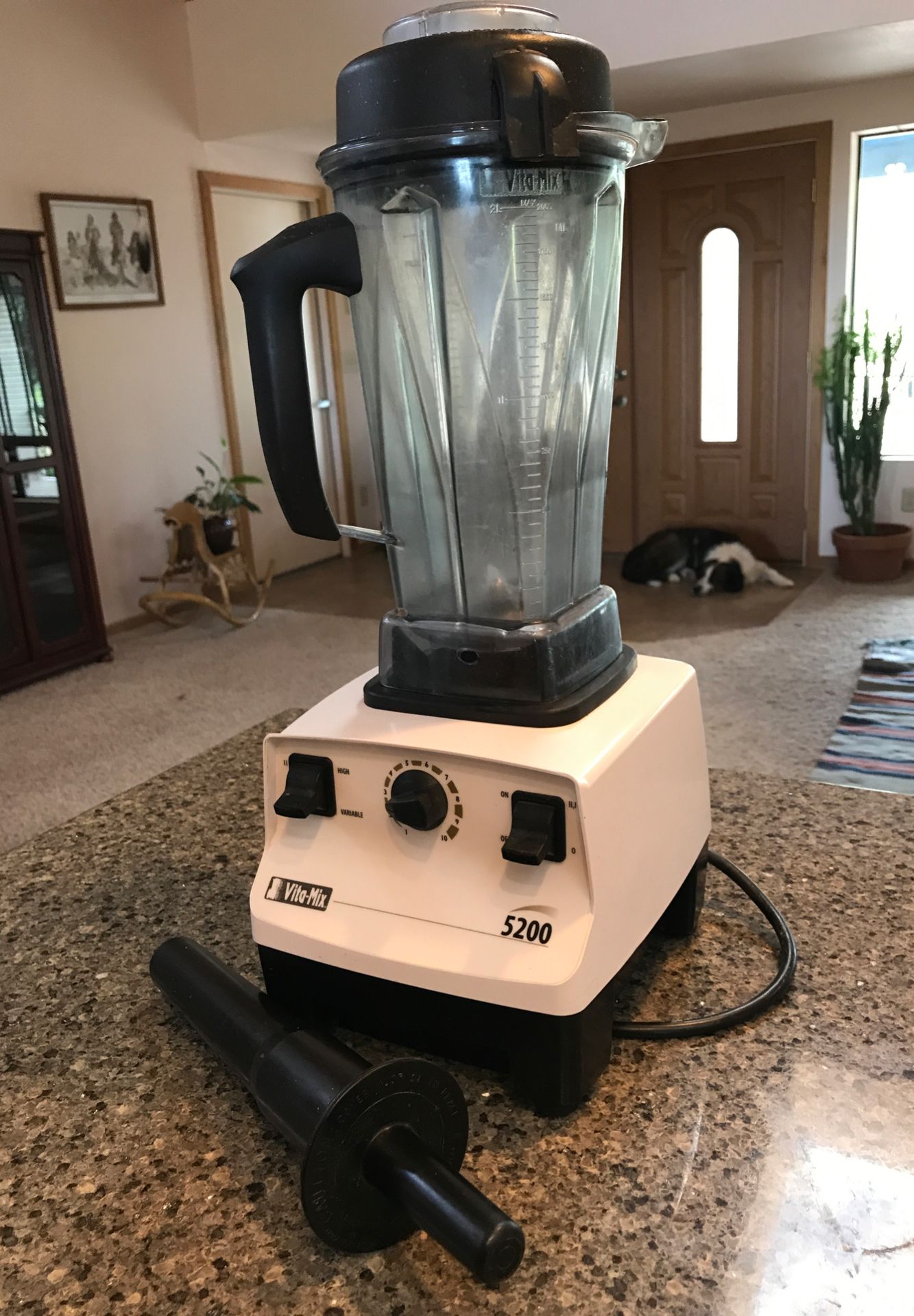 VitaMix 5200