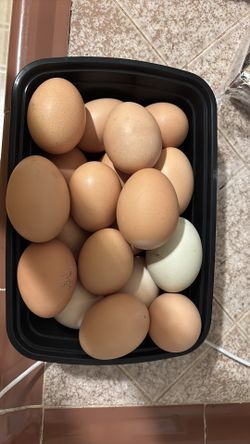 12 de Guevos orgánicos