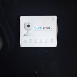 Blink Mini 2 And 1 