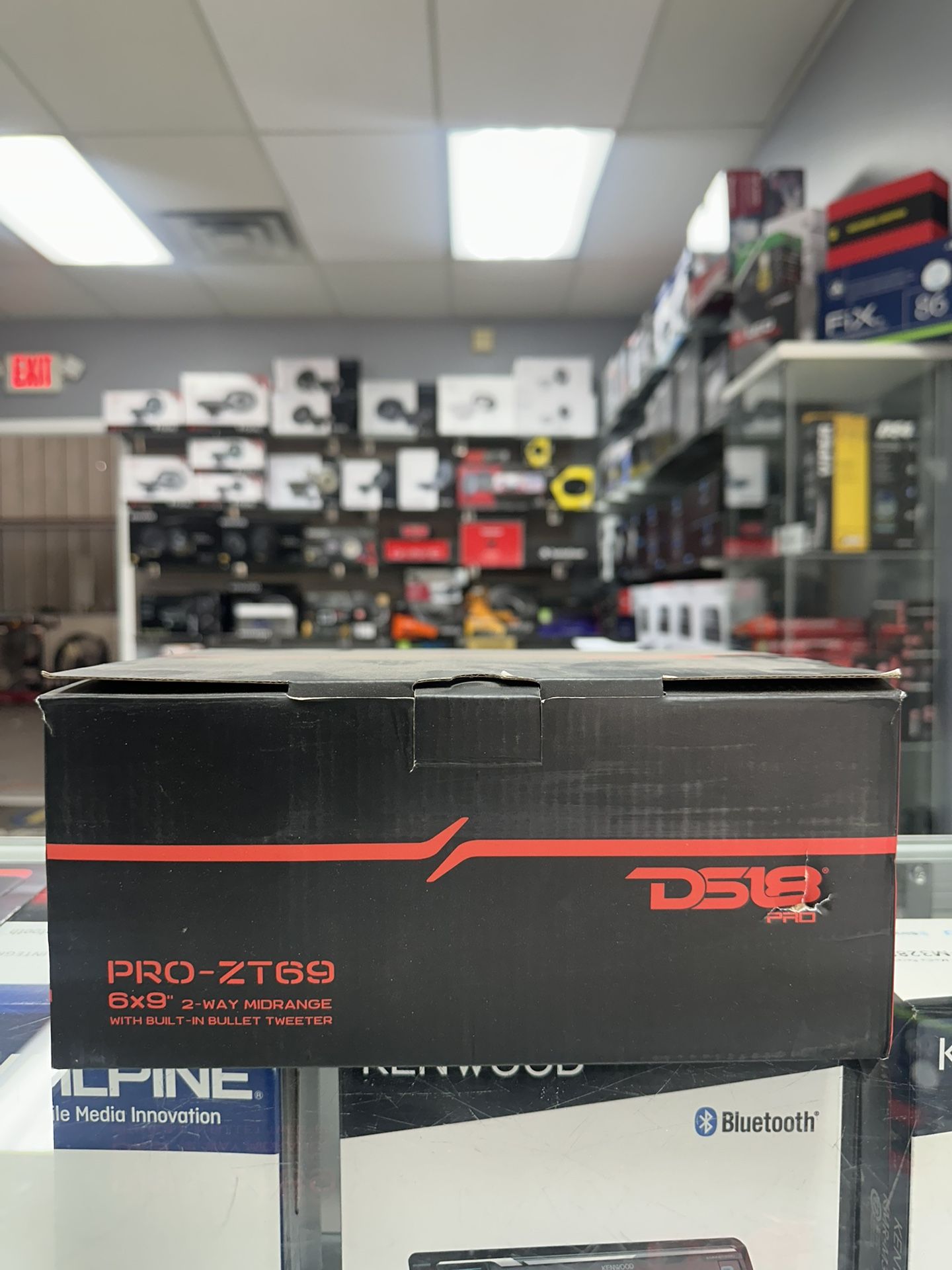 DS 18 Pro-ZT69 Speaker Set