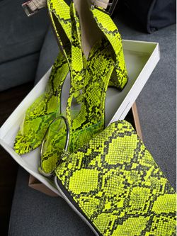 Shoe and clutch set
