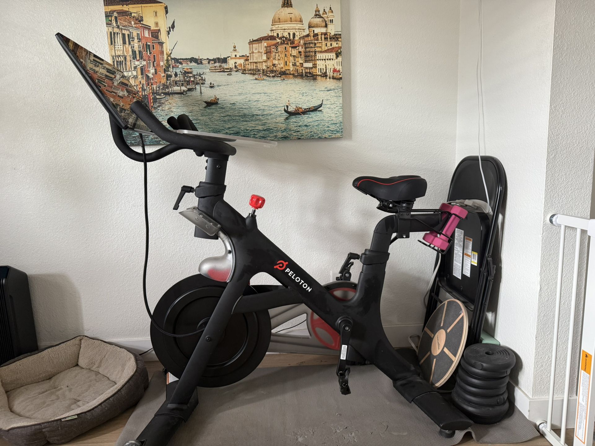 Peloton Bike W/ Extra Seat, 3lb Weights, Attachable Desk