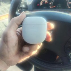 Bose Ear Buds Premium Sound 