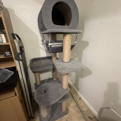 Cat Tree 
