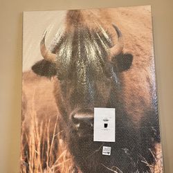 Canvas Painting