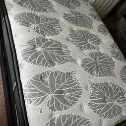 Queen Mattress 