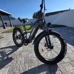 Freesky eBike Bafang Motor 25Ah Battery 