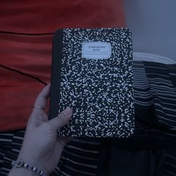 iPad mini 