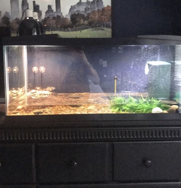 40 gallon fish tank with filter for Sale in Mount Laurel