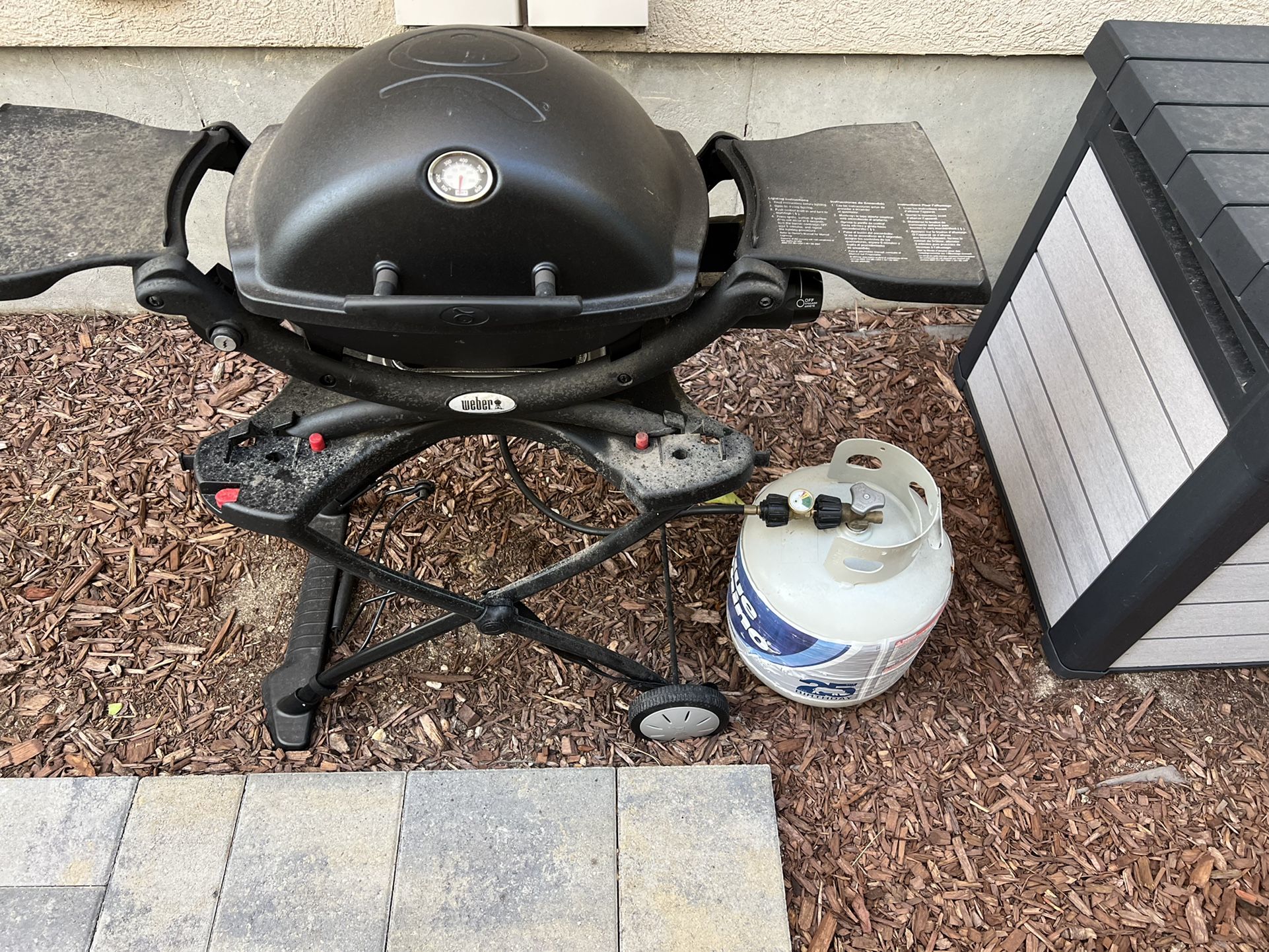 Webber Q Grill 