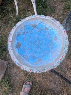 Cement bird bath