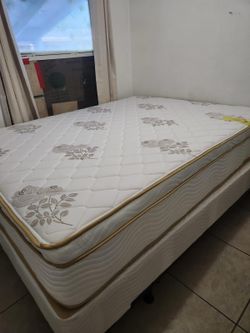New queen  mattress and box spring 2 pc bed frame is not included