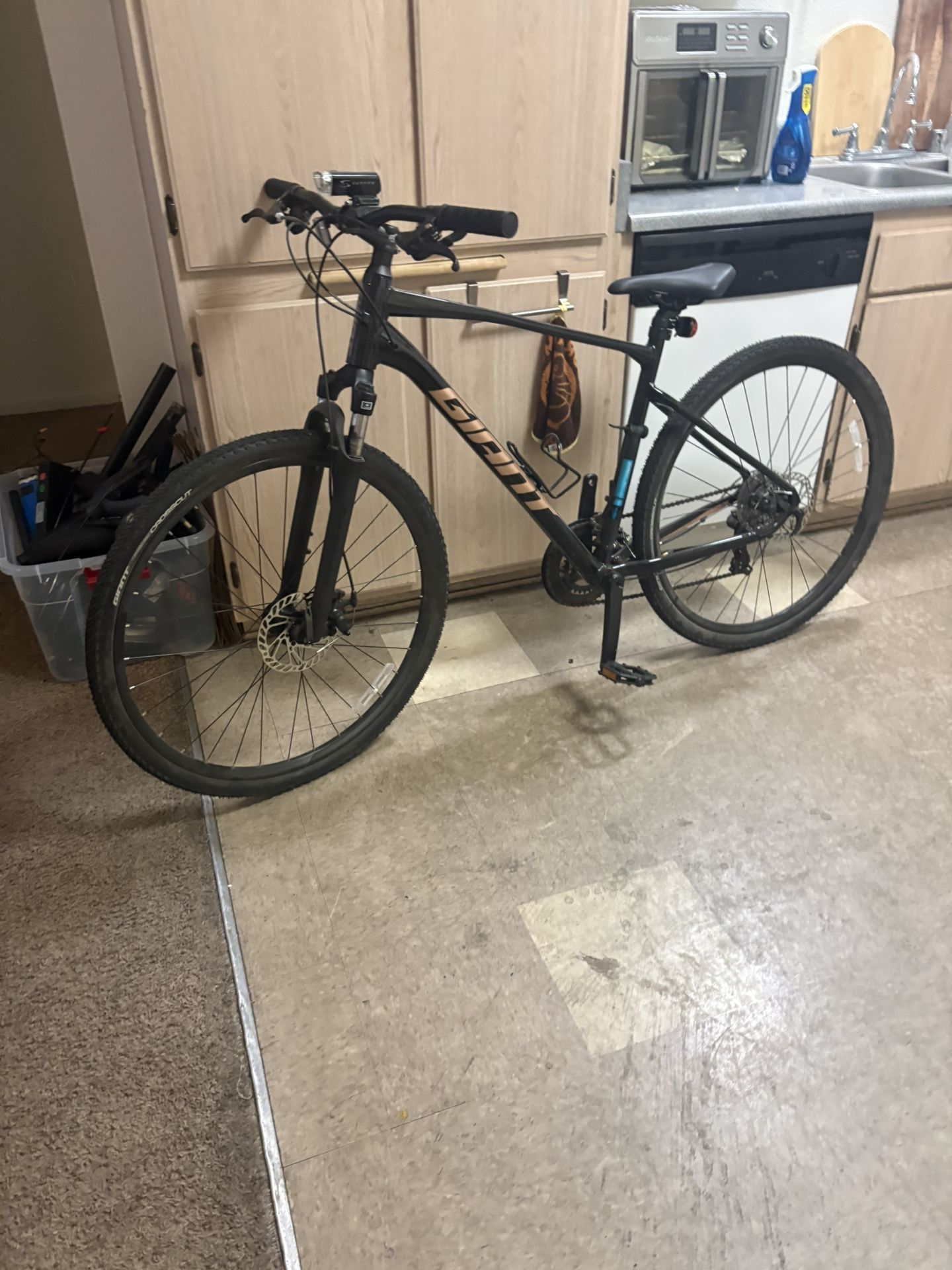 Giant Roam 4 Bike
