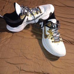 Giannis Antetokounmpo Basketball shoe's(Size 13)