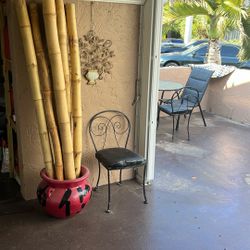 Bamboos &  Bamboo Holder