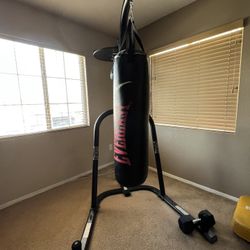 Punching Bag, Stand And Speed Bag