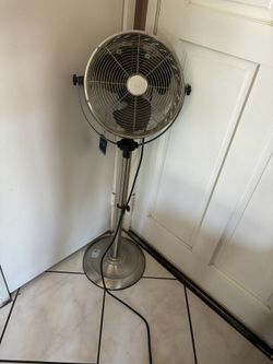 Fan