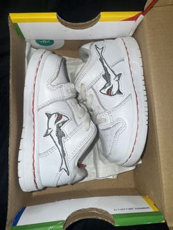 Nike Sb Dunk Pro