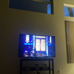 55 Inch Samsung (not a Smart Tv)