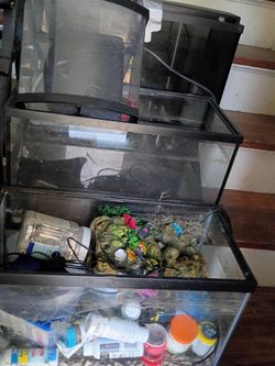 Fish tanks 20 each one