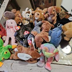 The Beanie Babies Collection 