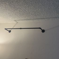 Hanging plant  Indoor 