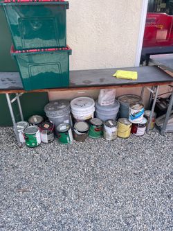 Free Paint