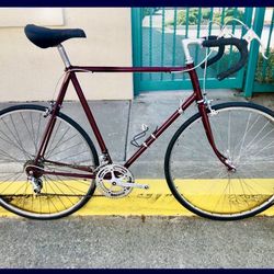 Vintage Tall Road Bike Campy Parts Holdsworth